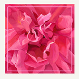Carré Rosa Fucsia 140x140